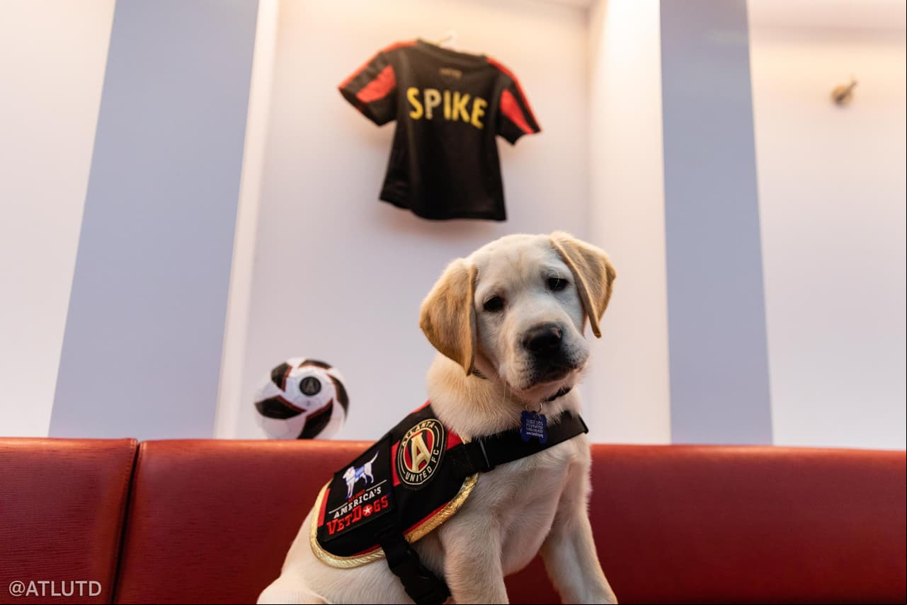 Spike es un Labrador Retriever 'canterano', de 12 semanas de vida, y que se suma de manera oficial al plantel de Frank de Boer.