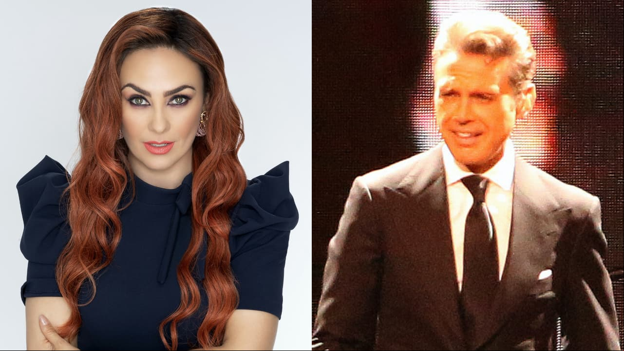 Aracely Arámbula contraataca: abogado ventila desde cuándo Luis Miguel no pagaría manutención