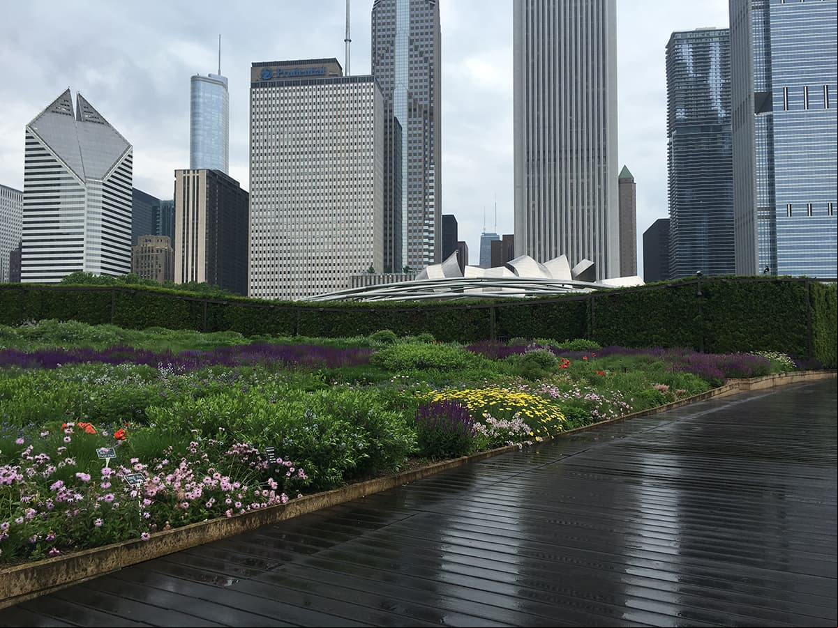 Estos son los mejores lugares para ver el horizonte citadino de Chicago
