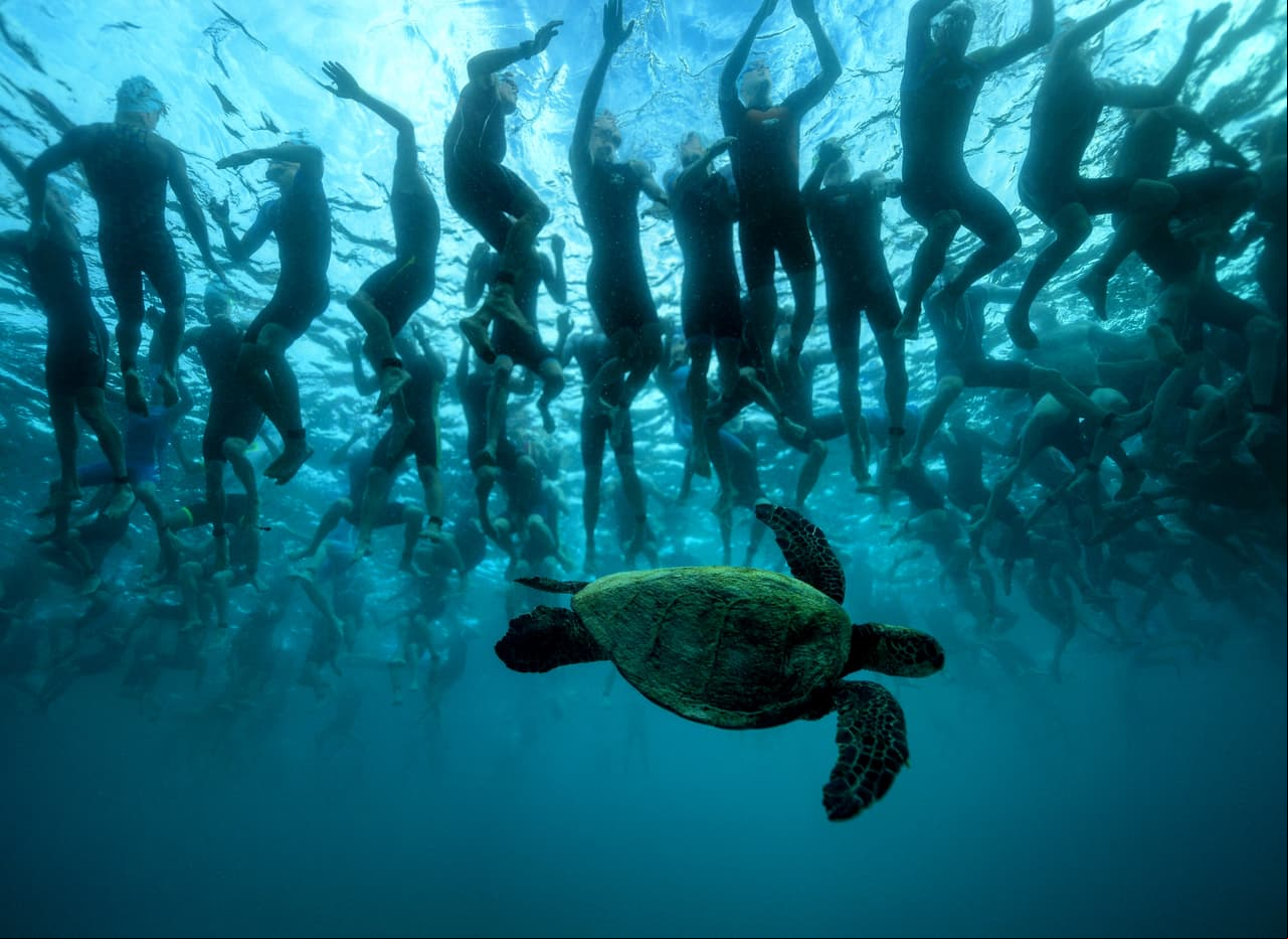 Sin embargo, no todo es deporte olímpico. Esta bella postal hace parte de una competencia de la Copa Mundo de Ironman en Hawai. La tortuga verde 'Honu' es uno de los símbolos de buena suerte y longevidad en esta isla estadounidense.