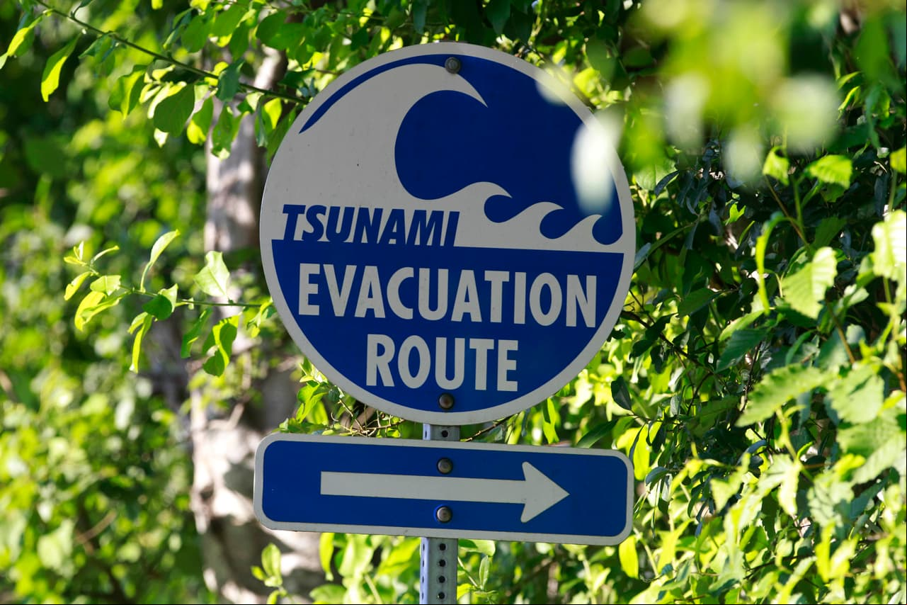Revelan detalles inéditos de la zona de subducción de Cascadia, cuyo movimiento podría desatar un fuerte terremoto en EEUU
