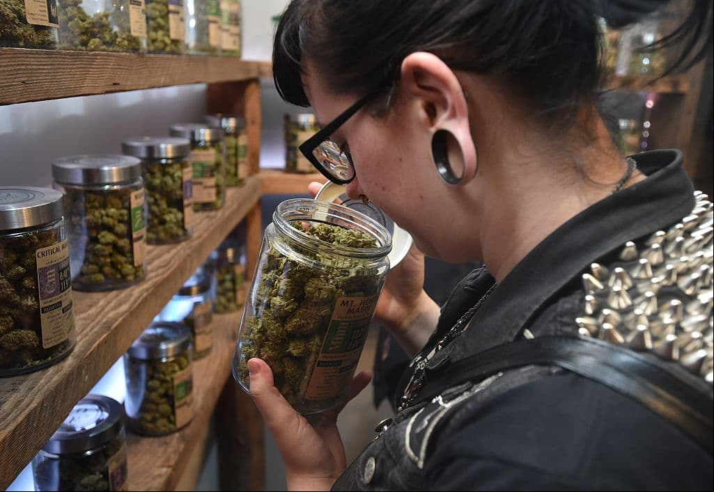 California ante el 'boom' económico de la marihuana