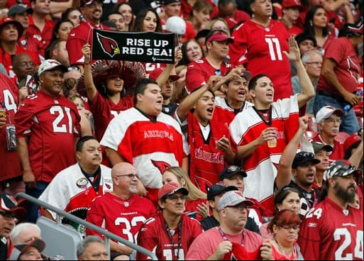 Los Cardinals les dieron cátedra de juego a los 49ers (47-7) y estas son las imágenes del partido.
