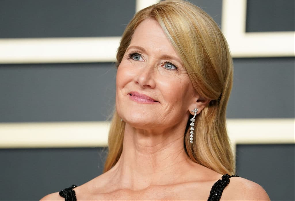 Laura Dern recicló su vestido para la fiesta tras los Premios Oscar: tiene 25 años con él
