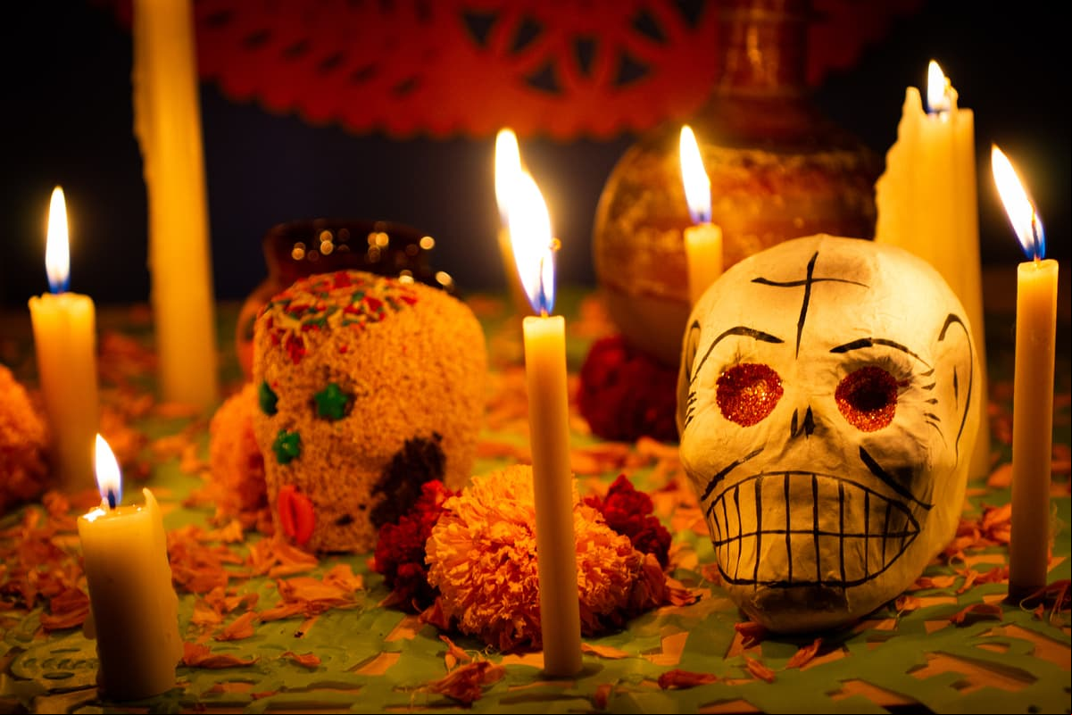 Tu mascota también merece estar en la ofrenda de Día de Muertos: ponle una calaverita